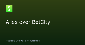 Alles over BetCity – Algemene Voorwaarden Voorbeeld